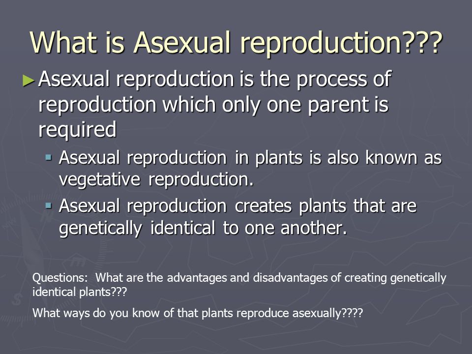 What is Asexual reproduction