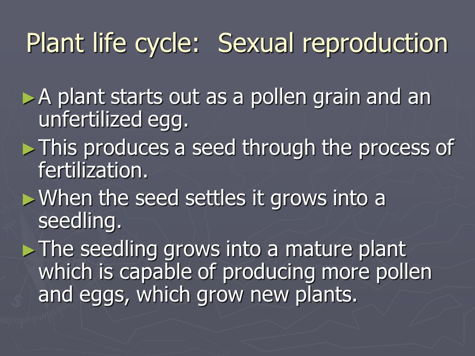 Plant life cycle: Sexual reproduction