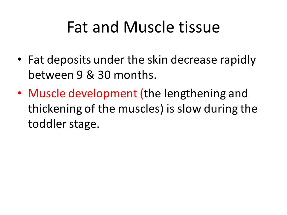 Fat and Muscle tissue Fat deposits under the skin decrease rapidly between 9 & 30 months.