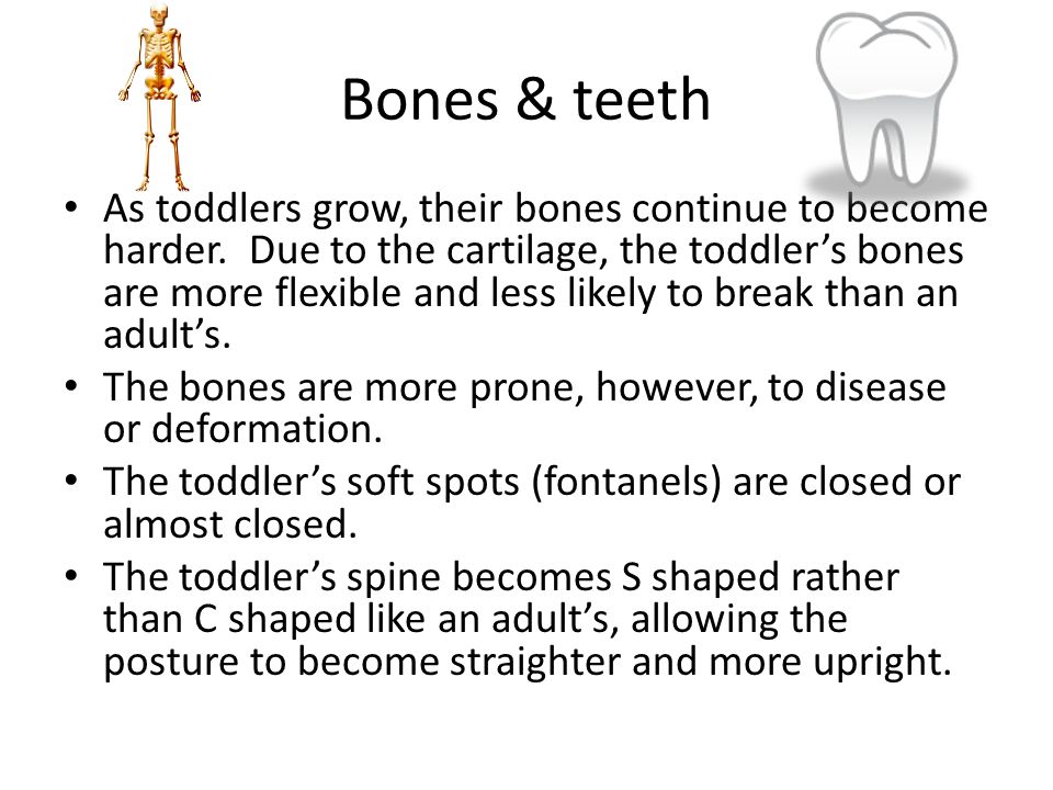 Bones & teeth