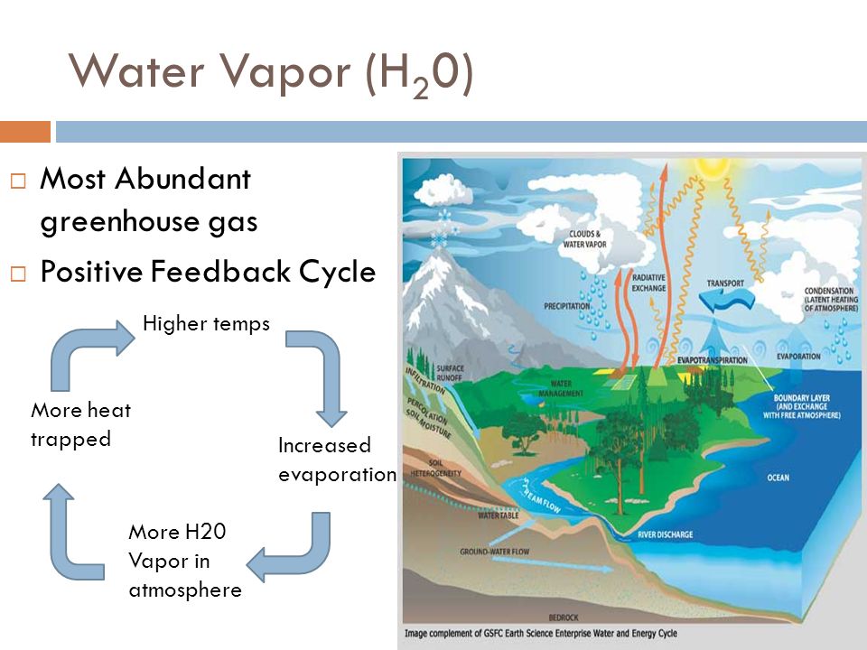 Water Vapor (H20) Most Abundant greenhouse gas Positive Feedback Cycle