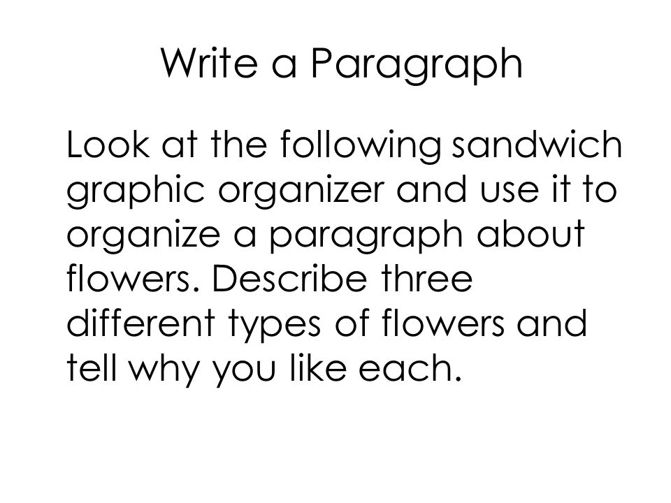 Write a Paragraph