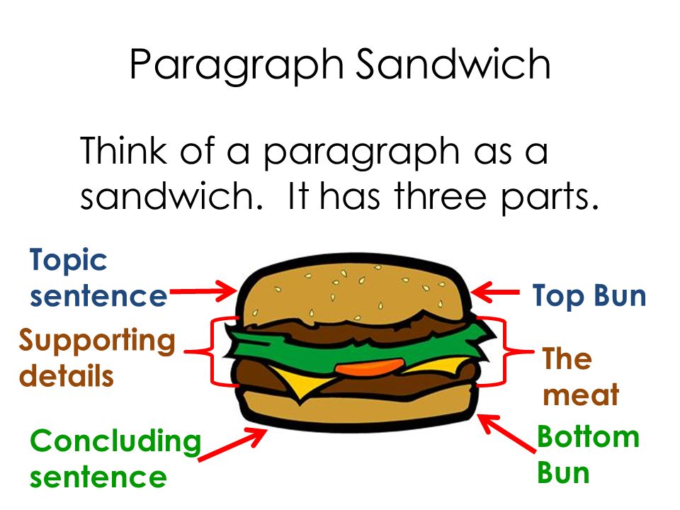 Paragraph Sandwich Think of a paragraph as a sandwich. It has three parts. Topic sentence. Top Bun.