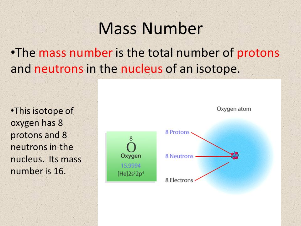 Mass Number The mass number is the total number of protons and neutrons in the nucleus of an isotope.