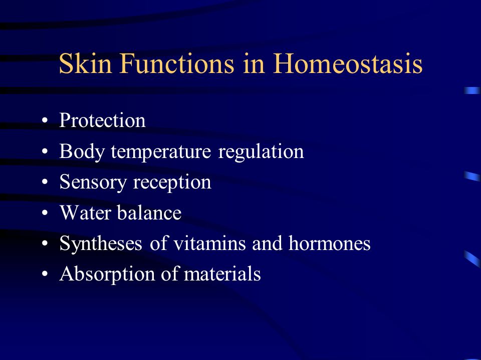 Skin Functions in Homeostasis