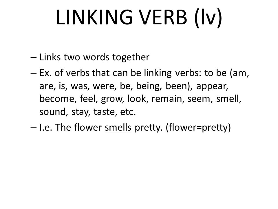 LINKING VERB (lv) Links two words together