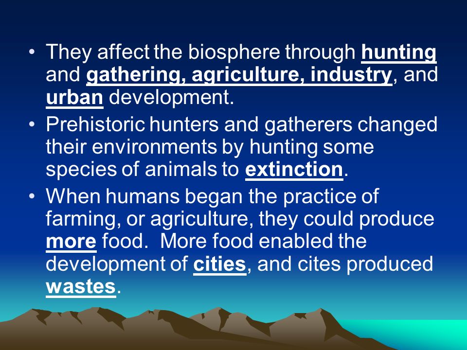 They affect the biosphere through hunting and gathering, agriculture, industry, and urban development.