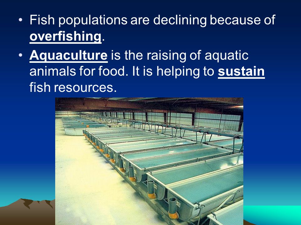 Fish populations are declining because of overfishing.