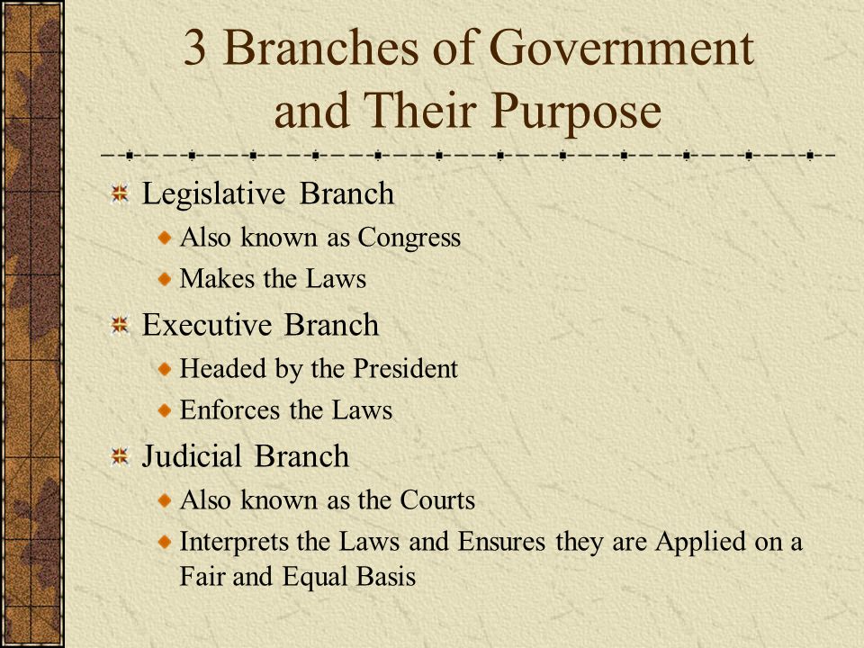3 Branches of Government and Their Purpose