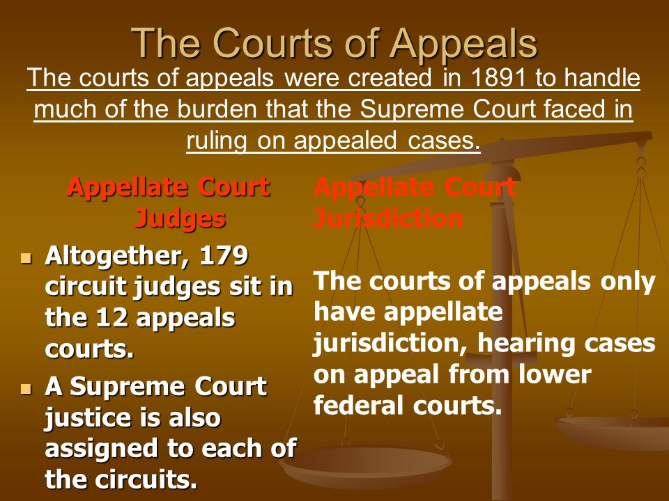 Appellate Court Judges