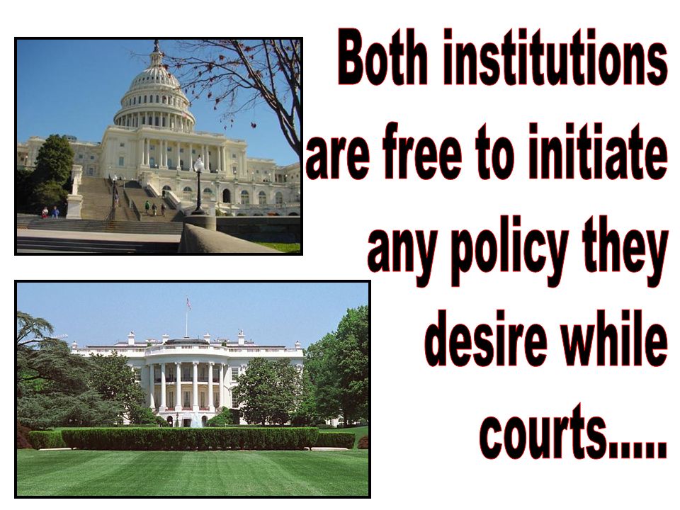 Both institutions are free to initiate any policy they desire while courts.....