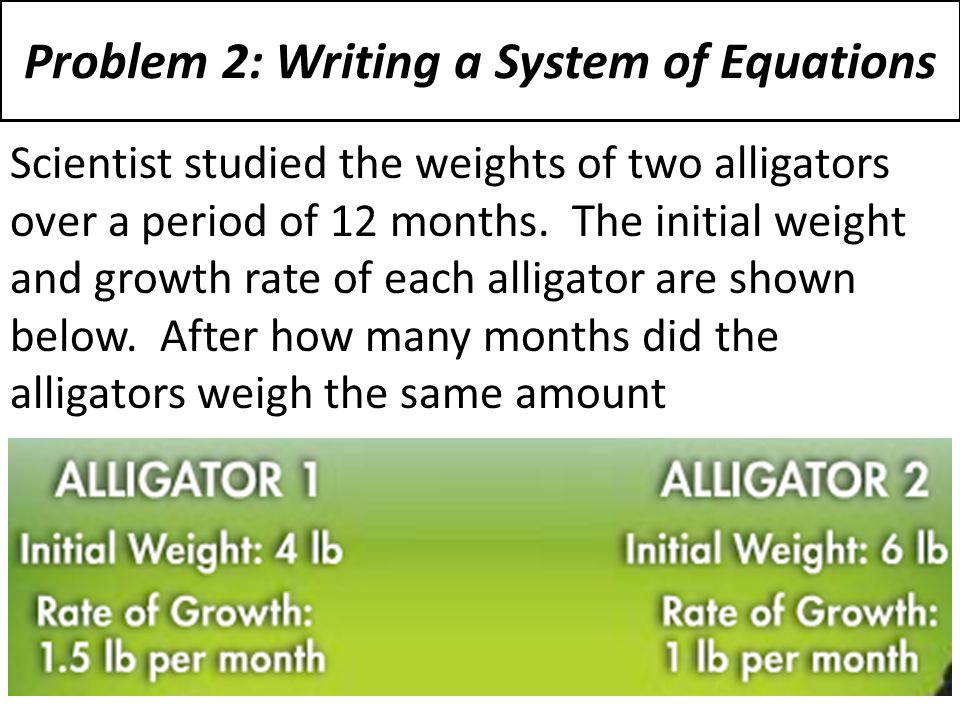 Problem 2: Writing a System of Equations