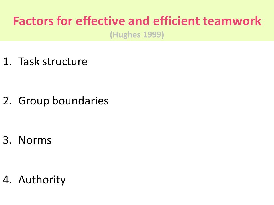 Factors for effective and efficient teamwork (Hughes 1999)