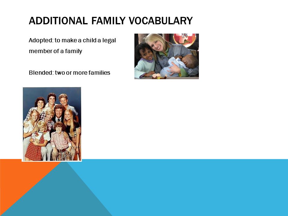 Additional family vocabulary