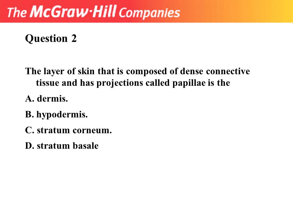 Question 2 The layer of skin that is composed of dense connective tissue and has projections called papillae is the.