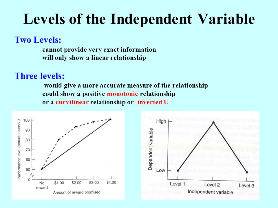 Levels of the Independent Variable