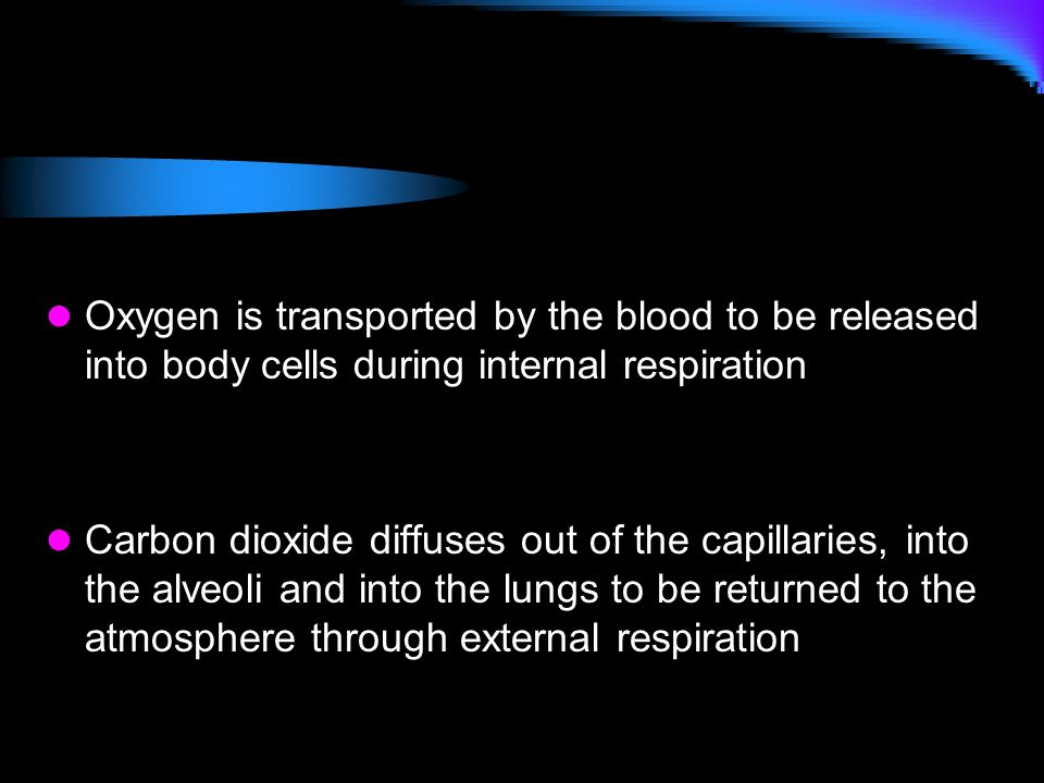 Oxygen is transported by the blood to be released into body cells during internal respiration