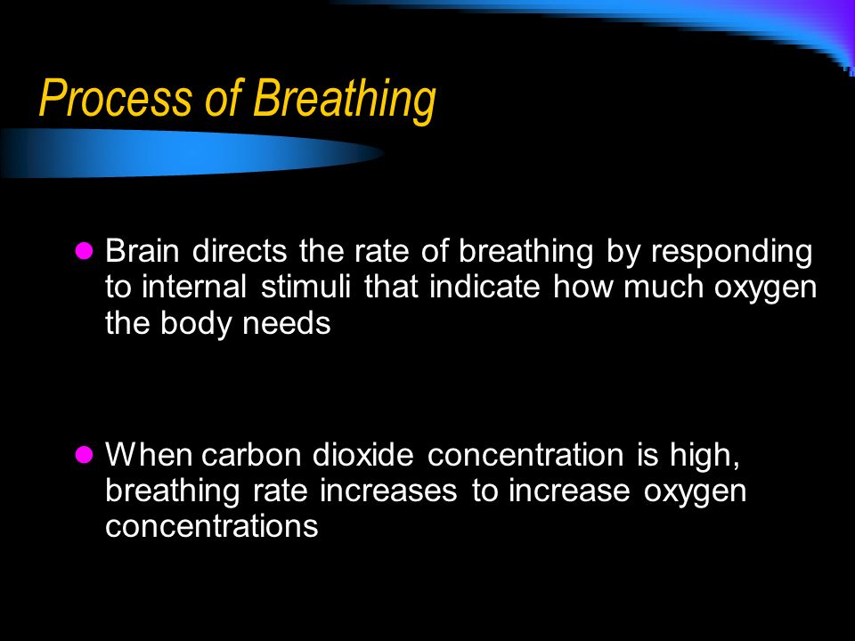 Process of Breathing Brain directs the rate of breathing by responding to internal stimuli that indicate how much oxygen the body needs.