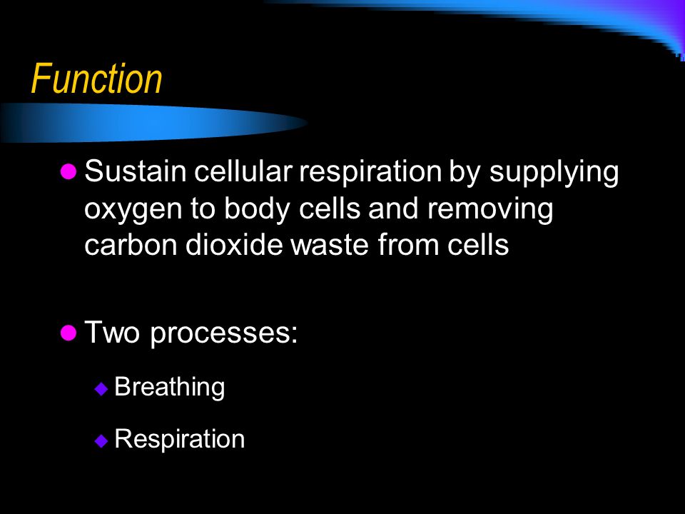 Function Sustain cellular respiration by supplying oxygen to body cells and removing carbon dioxide waste from cells.