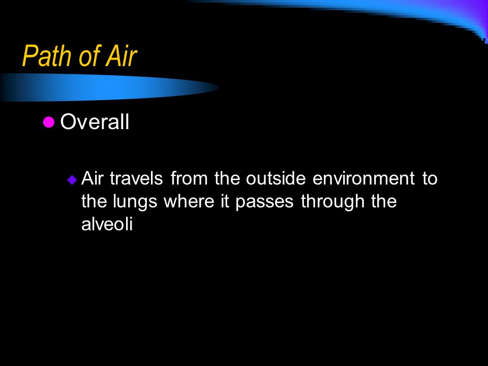 Path of Air Overall.