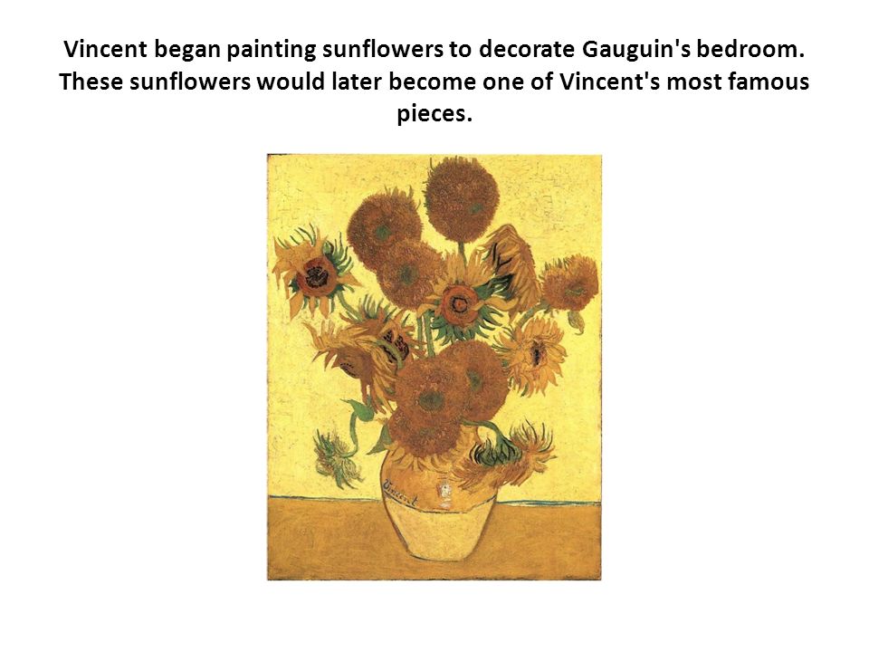 Vincent began painting sunflowers to decorate Gauguin s bedroom