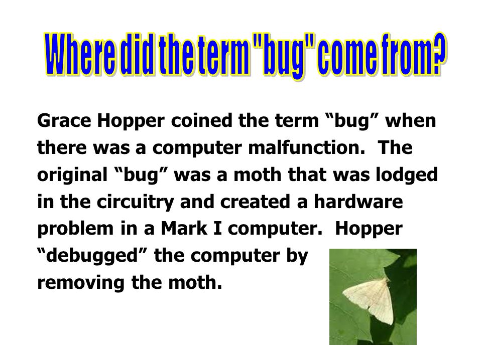 Where did the term bug come from