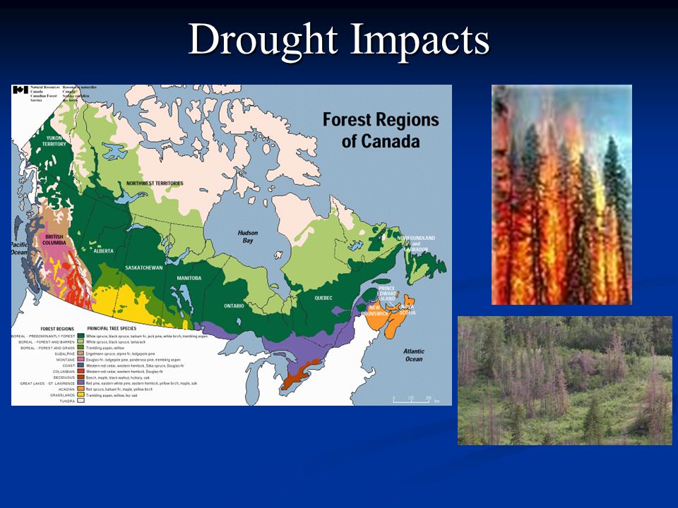 Drought Impacts