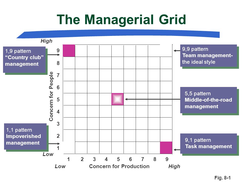The Managerial Grid High 9,9 pattern Team management- the ideal style