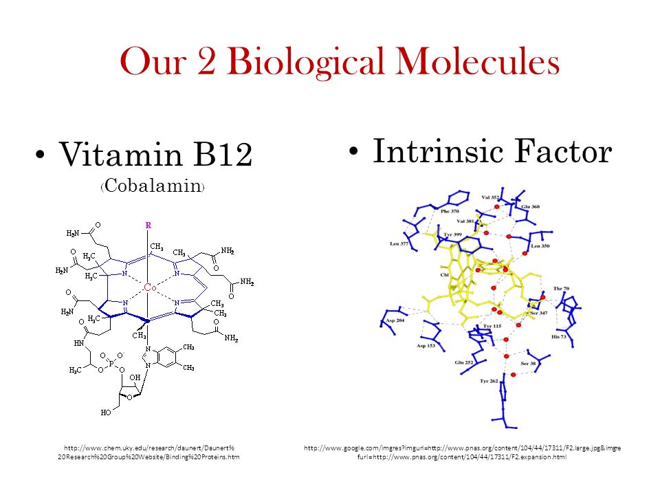 Our 2 Biological Molecules