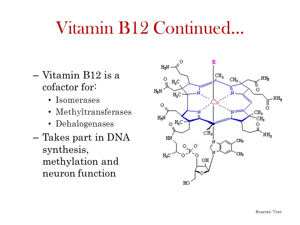 Vitamin B12 Continued… Vitamin B12 is a cofactor for: