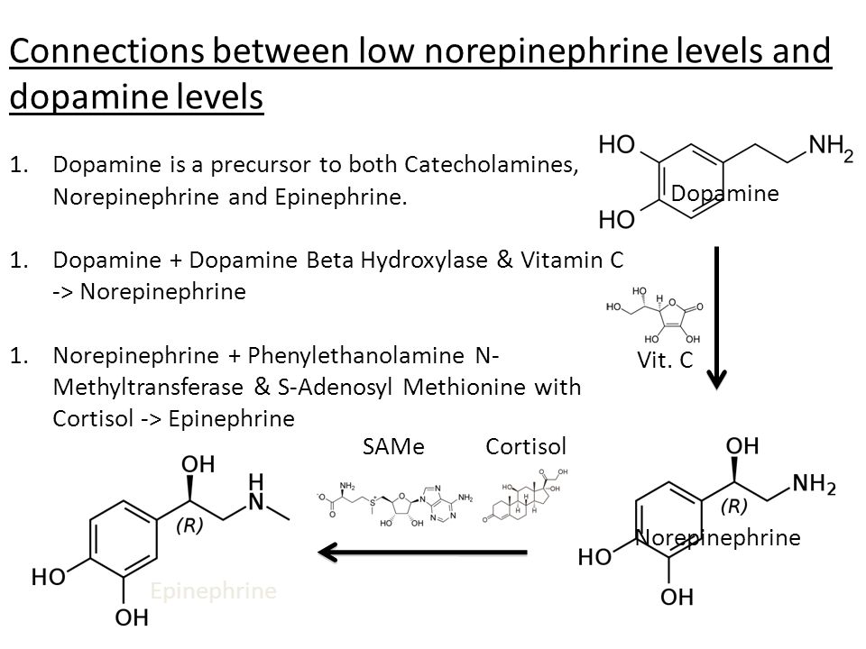 Connections between low norepinephrine levels and dopamine levels