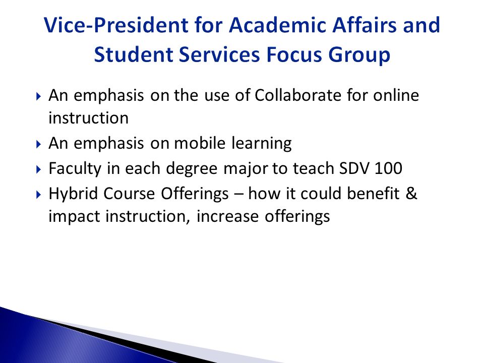Vice-President for Academic Affairs and Student Services Focus Group