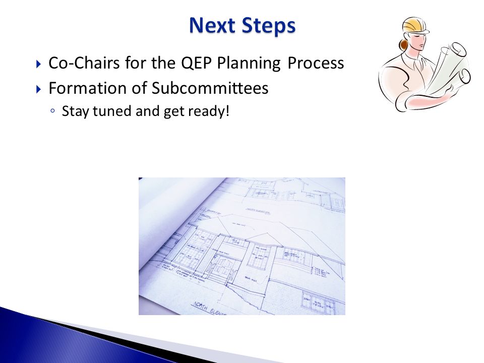 Next Steps Co-Chairs for the QEP Planning Process