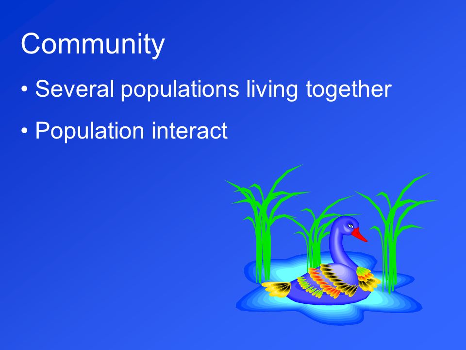 Community Several populations living together Population interact