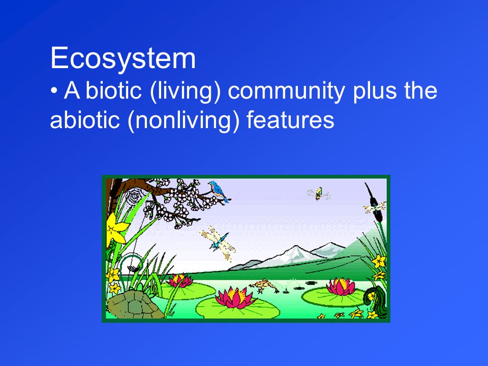 Ecosystem A biotic (living) community plus the abiotic (nonliving) features