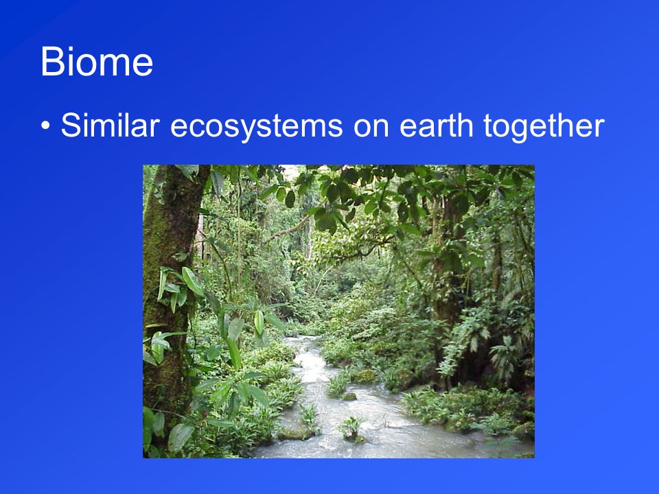 Biome Similar ecosystems on earth together