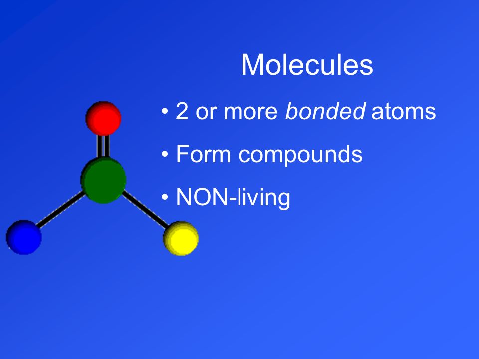 Molecules 2 or more bonded atoms Form compounds NON-living