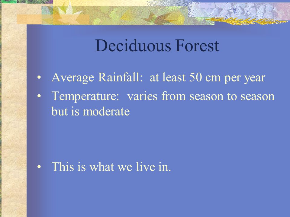 Deciduous Forest Average Rainfall: at least 50 cm per year
