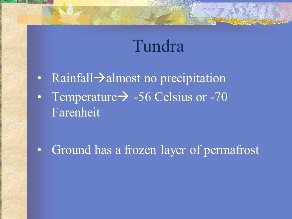 Tundra Rainfallalmost no precipitation