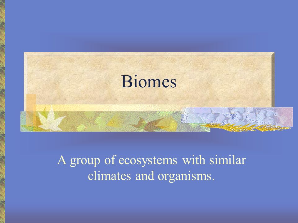 A group of ecosystems with similar climates and organisms.