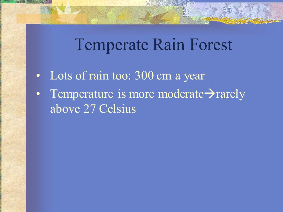 Temperate Rain Forest Lots of rain too: 300 cm a year