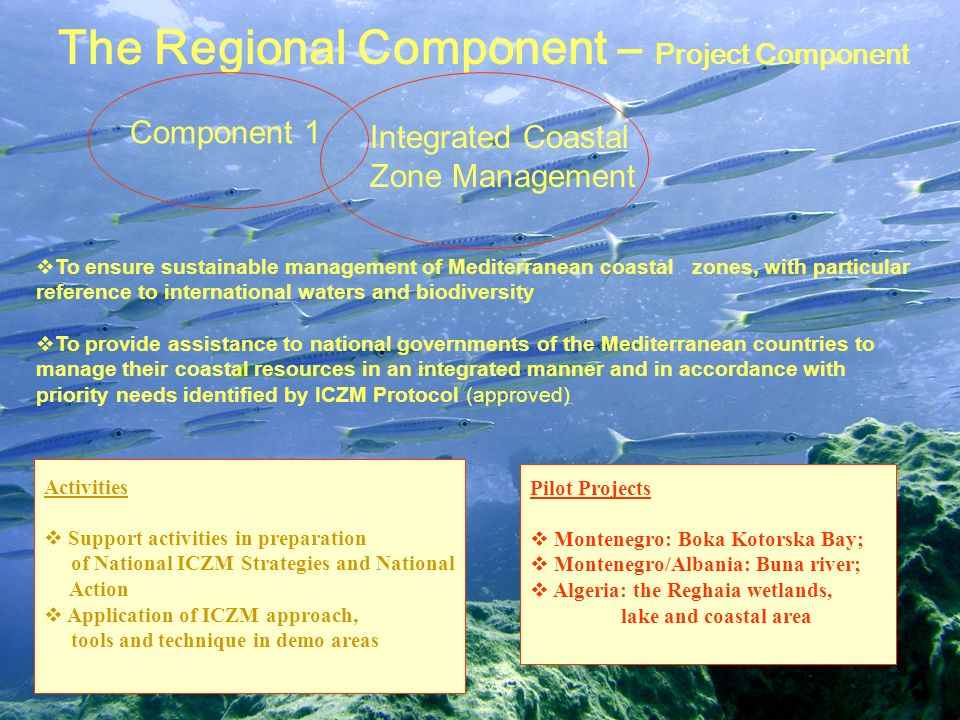 The Regional Component – Project Component