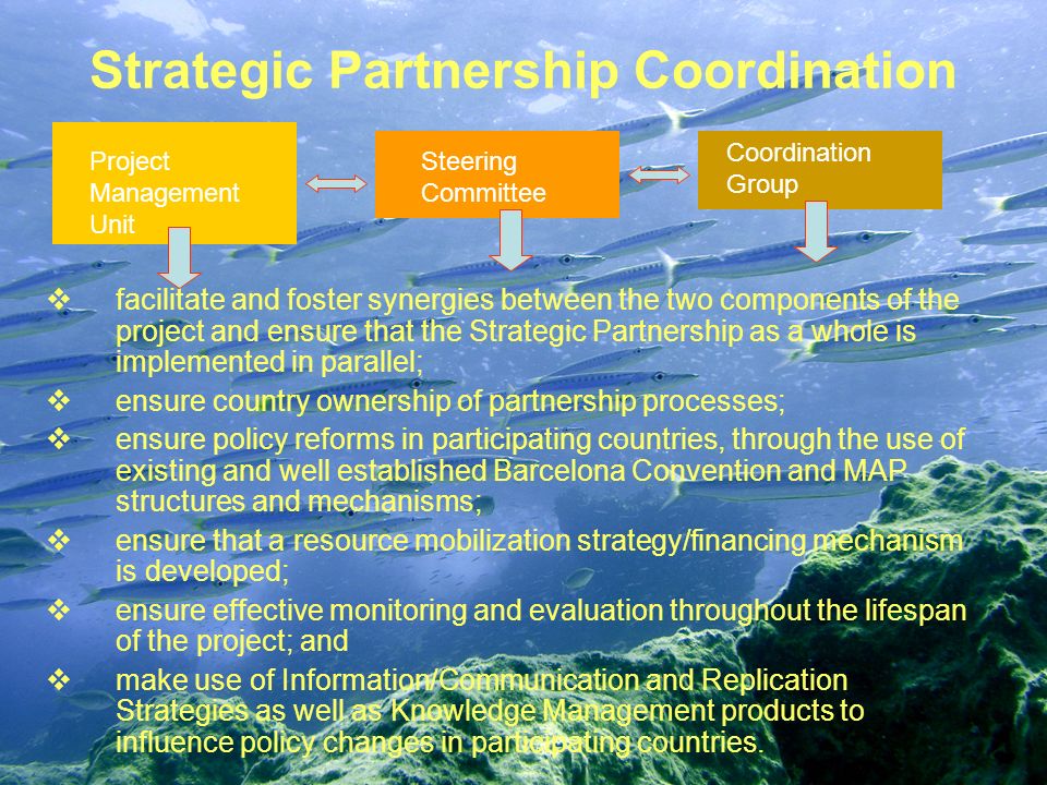 Strategic Partnership Coordination