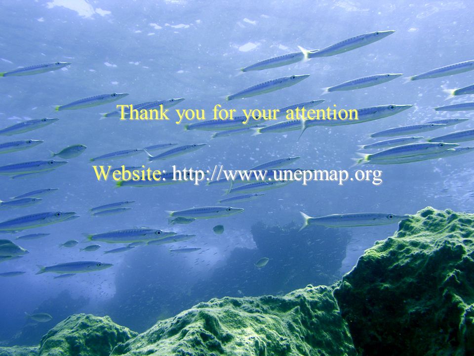 Thank you for your attention Website: