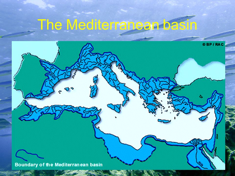 The Mediterranean basin