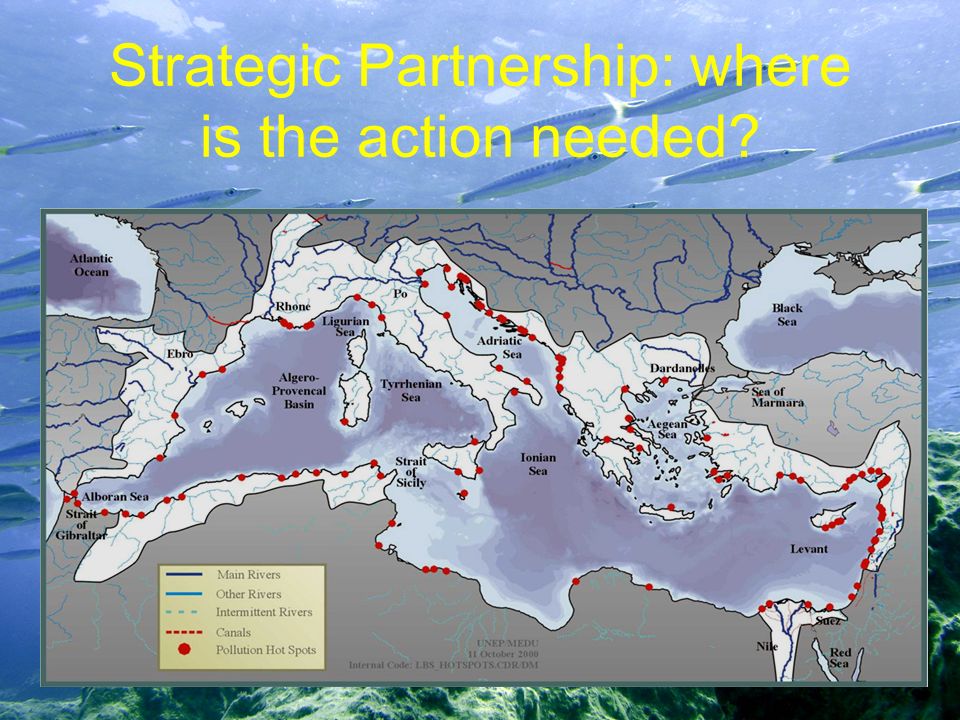 Strategic Partnership: where is the action needed