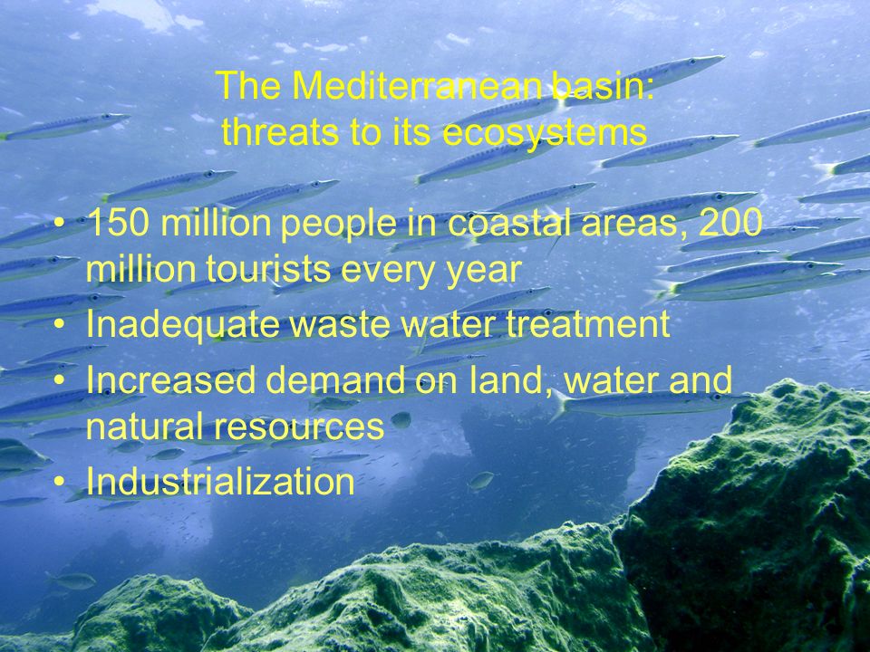 The Mediterranean basin: threats to its ecosystems