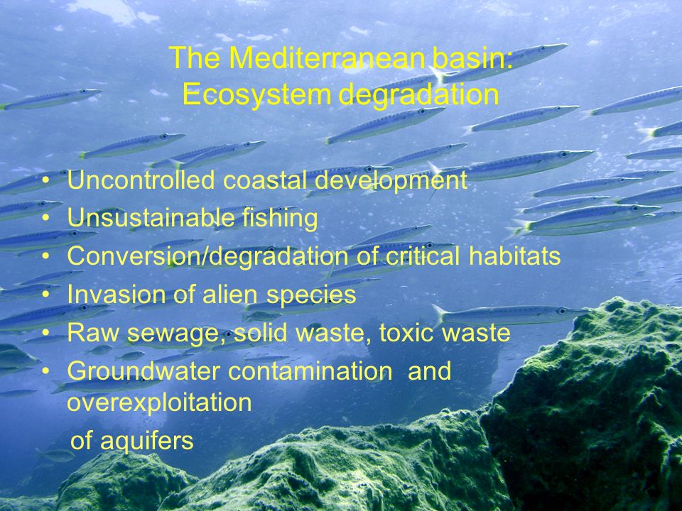 The Mediterranean basin: Ecosystem degradation