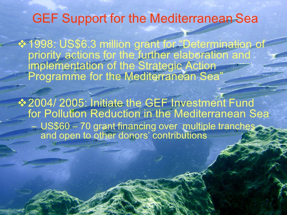 GEF Support for the Mediterranean Sea