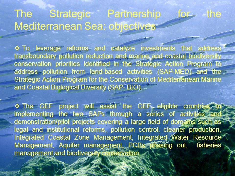 The Strategic Partnership for the Mediterranean Sea: objectives